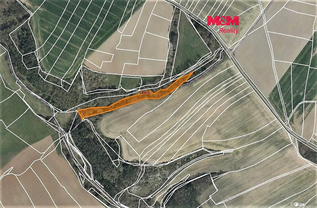 Prodej lesa 4593 m²